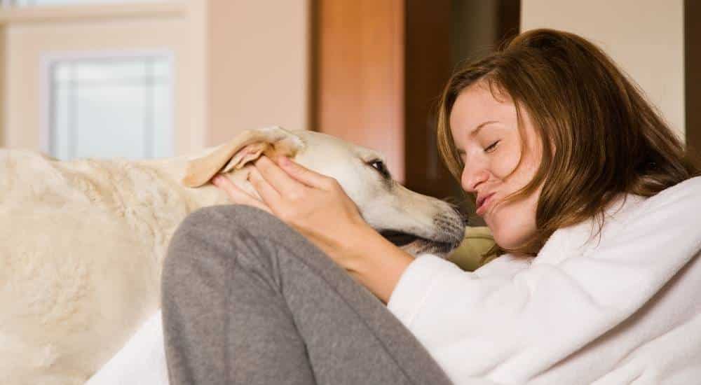 Petting blonde labrador and making kissy faces