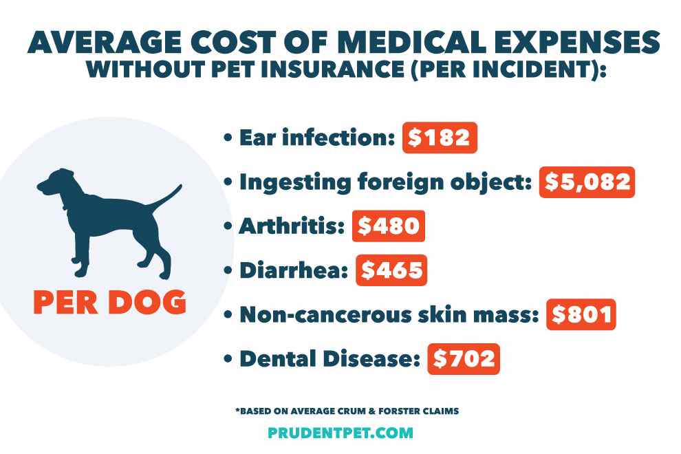 Prudent Pet Insurance Plan Comparison - Prudent Pet Insurance