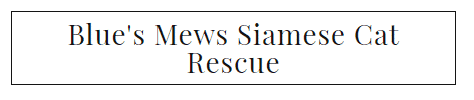Blues mews siamese cat rescue logo