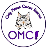 our maine coon rescue logo
