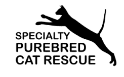 specialty purebred cat rescue